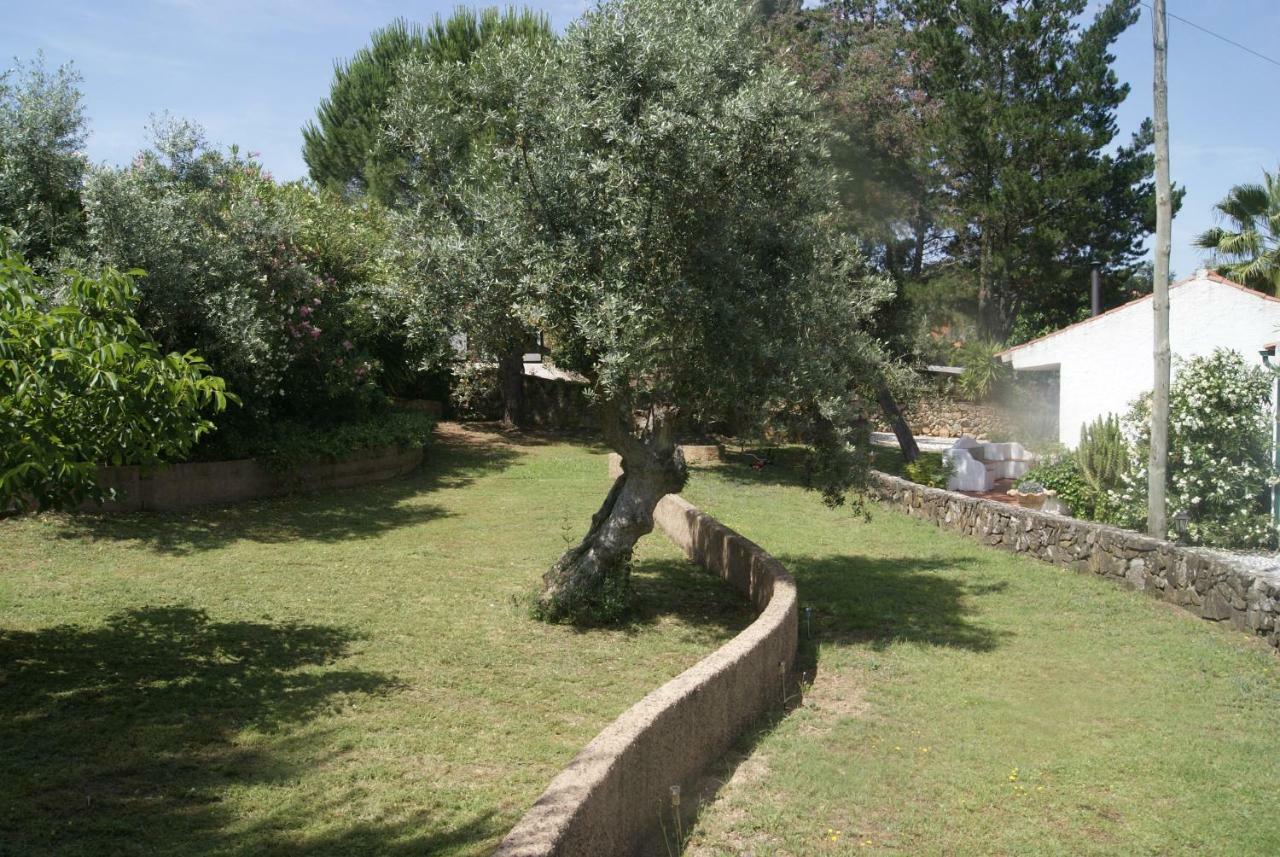 Casa Do Vale Villa Sao Pedro de Tomar Exterior photo